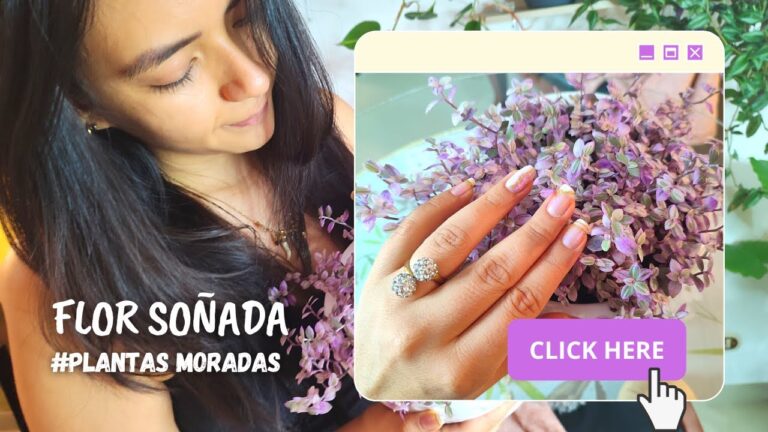Descubre el fascinante significado espiritual de las flores moradas