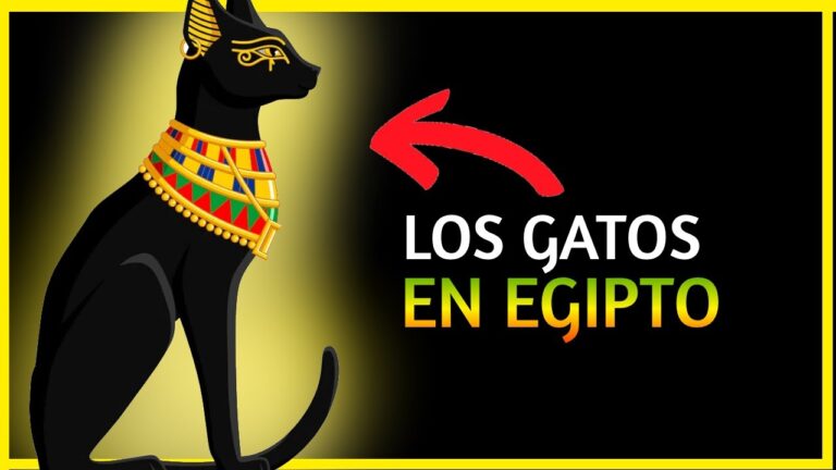 El místico significado espiritual detrás del gato egipcio