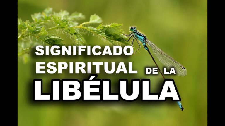 Descubre el significado espiritual de la libélula en solo 70 caracteres
