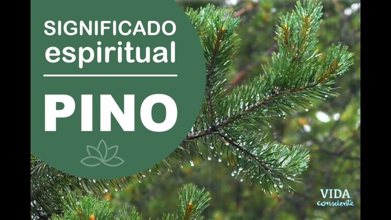 Descubre el profundo significado espiritual del pino en tu vida